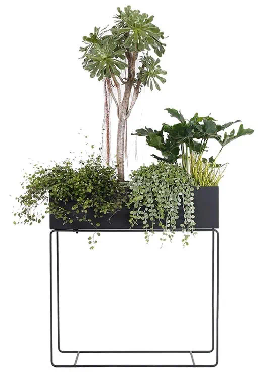DS BS Indoor Metal Tall Rectangle Tray Plant Pot Stand-Black