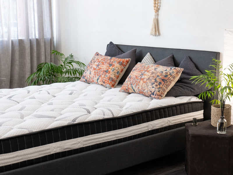 Novo Bed Frame - Queen