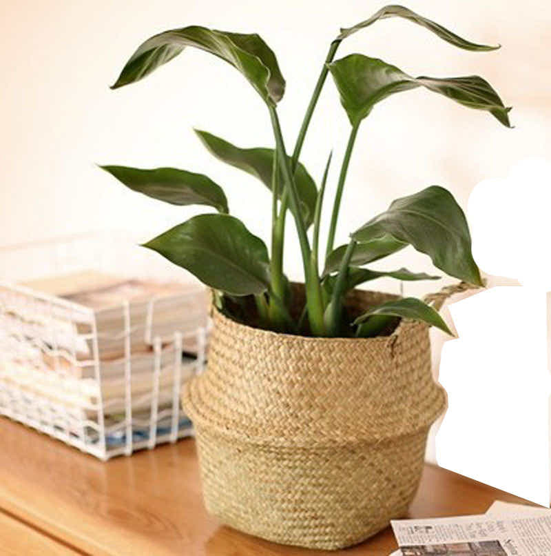 DS BS Natural Woven Seagrass Flower Baskets Garden Flower Pot-XL