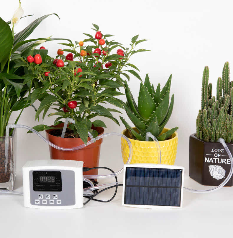 DS BS Solar Powered Automatic Digital Timer Watering System-Single Pump