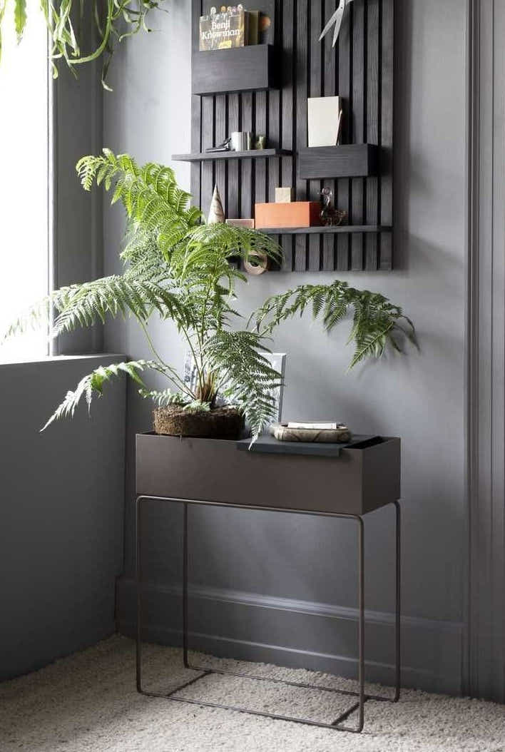 DS BS Indoor Metal Tall Rectangle Tray Plant Pot Stand-Black