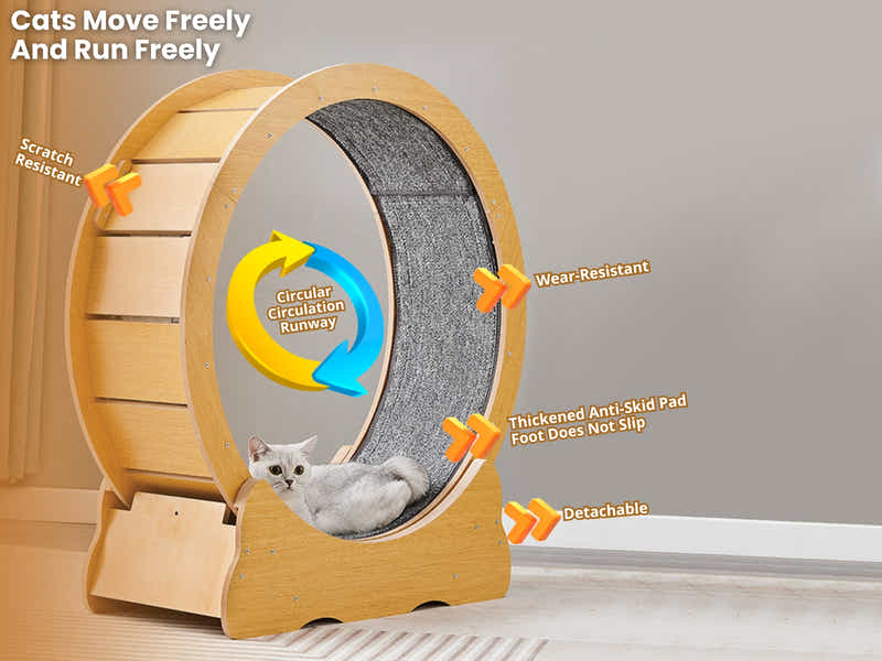 Cat Running Wheel