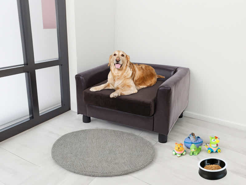 Pet Sofa Bed - Brown Velvet Cushion
