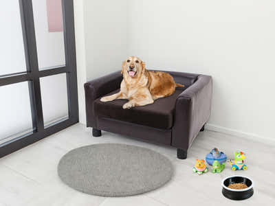Pet Sofa Bed - Brown Velvet Cushion