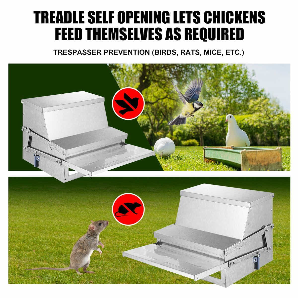 DS BD 10L Auto Chicken Feeder Automatic Poultry Food Feeding Treadle Spillproof