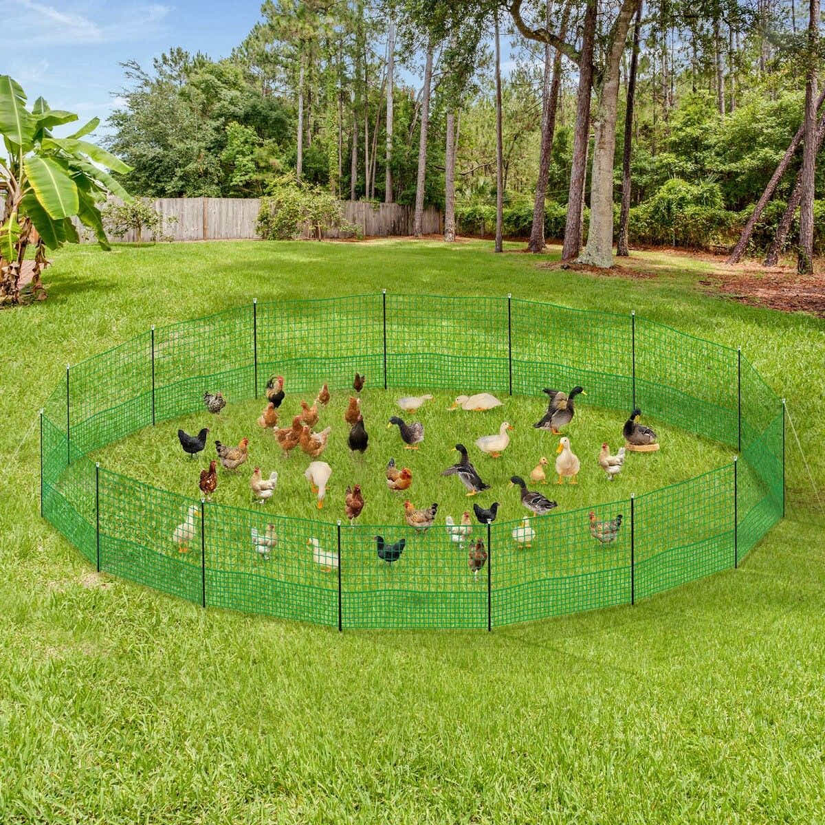 DS BD Chicken Fence Hen Poultry Coop Runs Mesh Cage Net Habitat Pen 1.15m x 50m