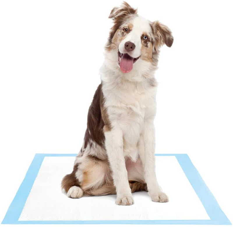 DS BS Dog and Puppy Potty Training Pads 60 x 60cm 40pc