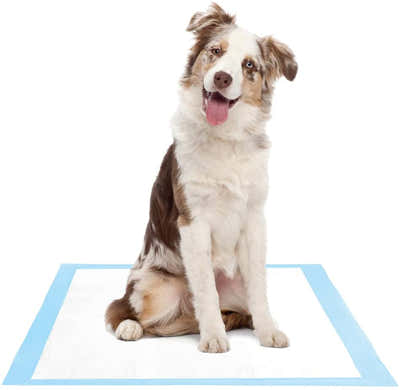 DS BS Dog and Puppy Potty Training Pads 60 x 60cm 40pc