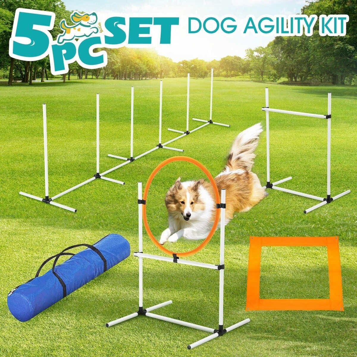 DS BD 5PCS Dog Agility Set Obstacle Course Hurdle Jump Training Exercise