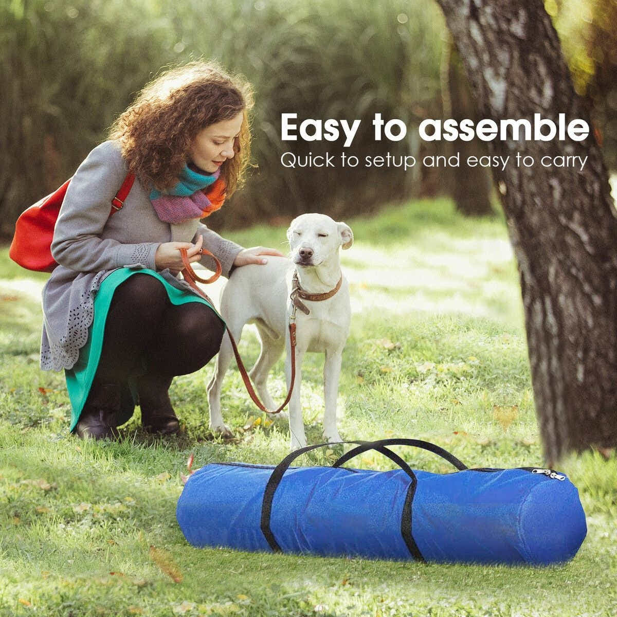 DS BD 5PCS Dog Agility Set Obstacle Course Hurdle Jump Training Exercise