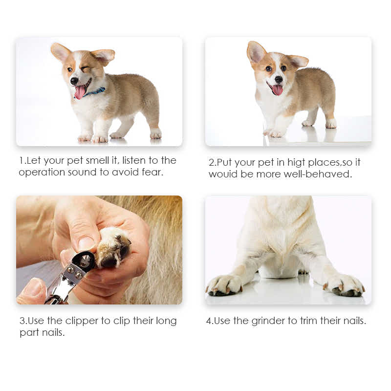 DS BS Electric Rechargeable Pet Nail Grinder