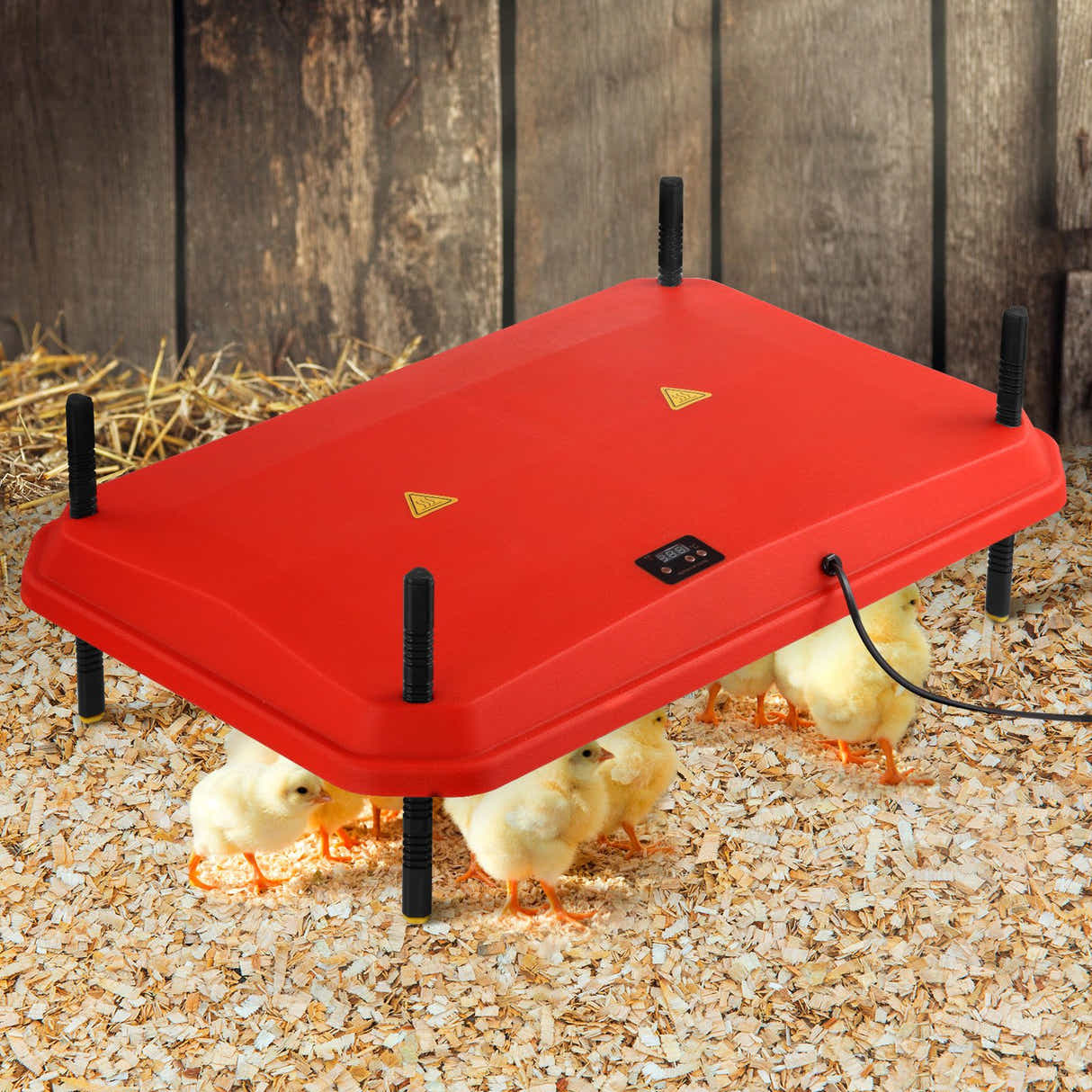 DS BD Chick Brooder Heating Plate Warmer 45x60cm 40-50 Chicks Adjustable Height