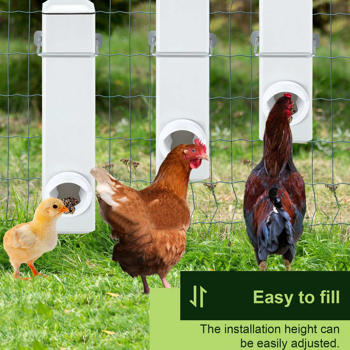 DS BD Chicken Feeder Water Dispenser Automatic Waterer Poultry Cup 4L Plastic