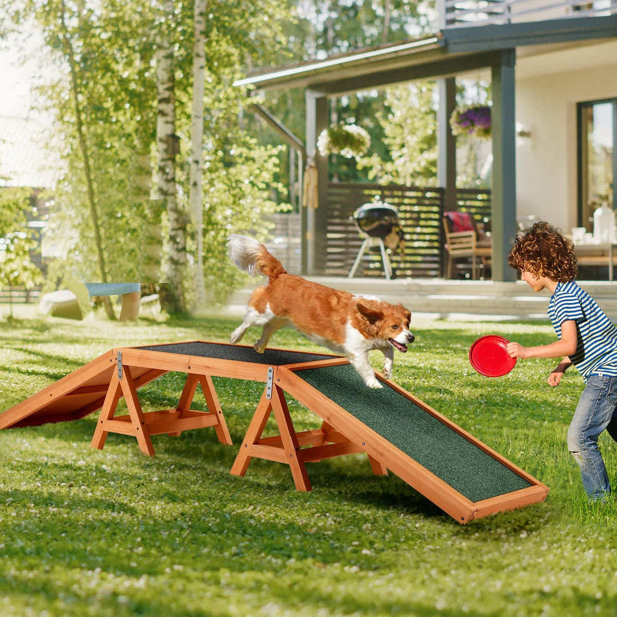 DS BD Dog Agility Ramp Toy Obedience Training Obstacle Course Play Wooden Arch