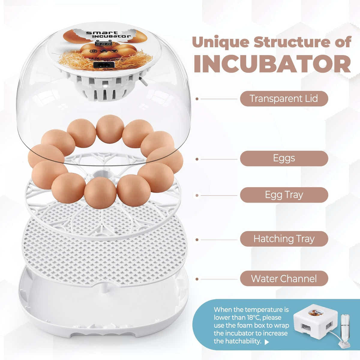DS BD 12 Eggs Incubator Automatic Hatching Chicken Quail Duck Hatcher Turner