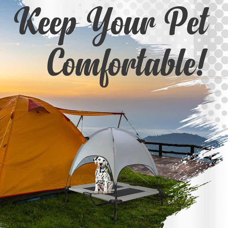 DS BS Elevated Outdoor Dog Bed with Canopy-L