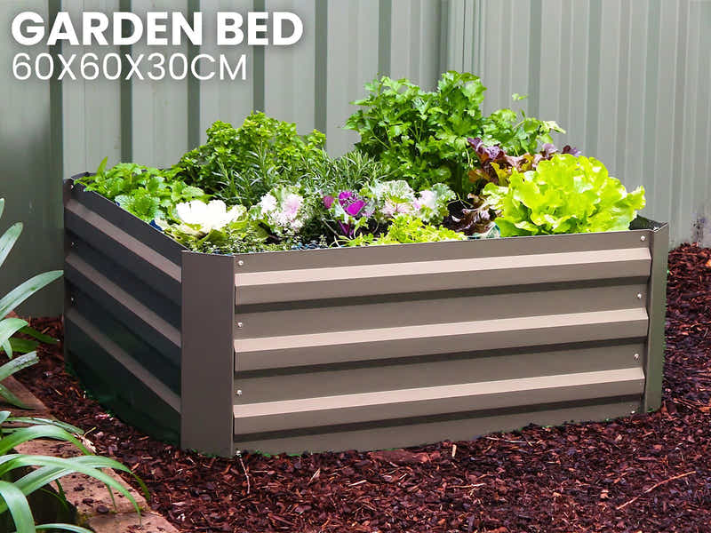 Galvanized Steel Garden Bed 60x60x30 cm
