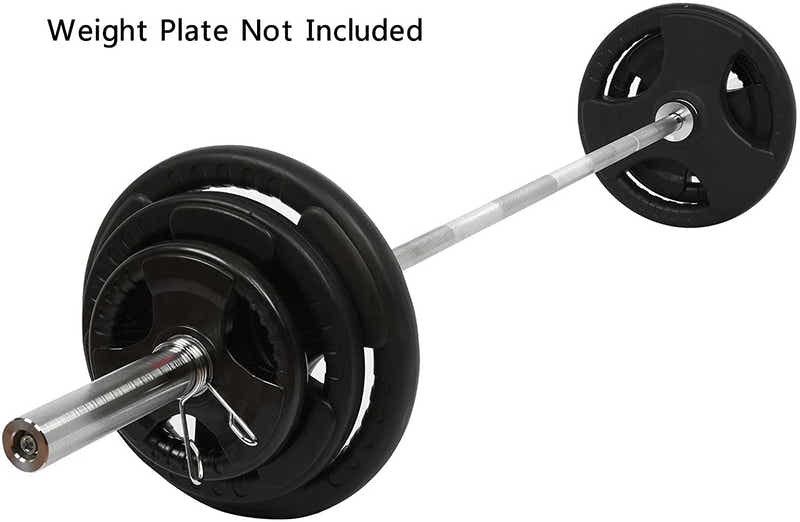 DS BS 220cm Olympic Barbell Bar-15.5kg