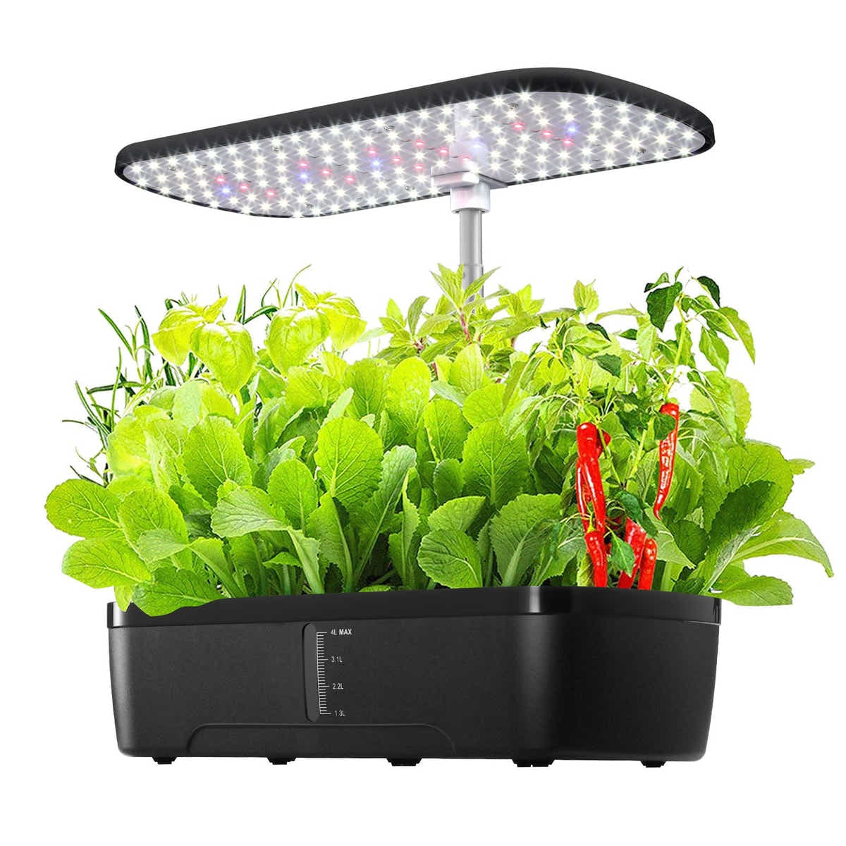 DS BD 12 Pods Hydroponics Growing Herb Kit Spectrum 20W LED Light Pump 4L Tank
