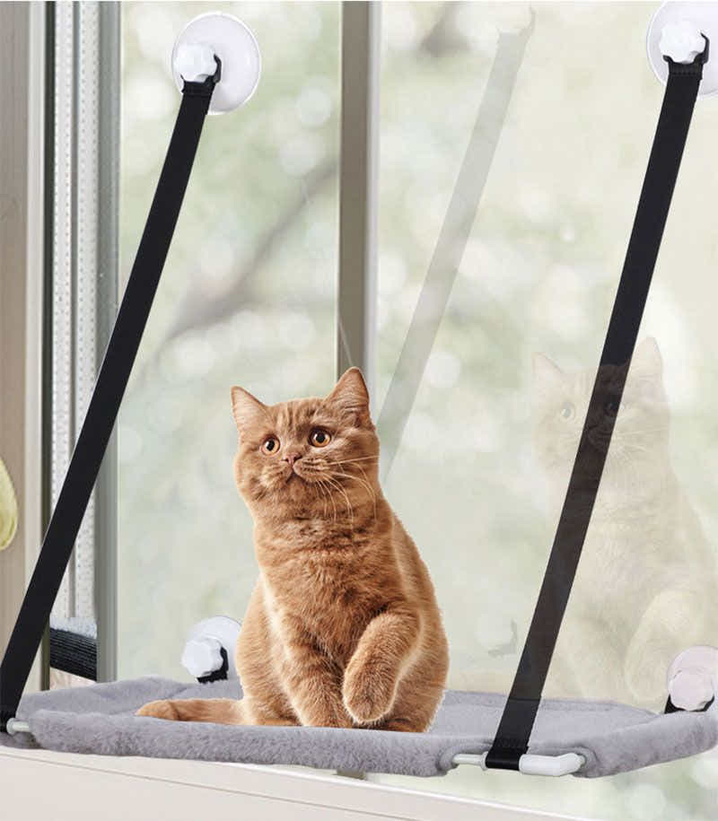 DS BS Single Layer Suction Cup Cat Window Perch Hammock