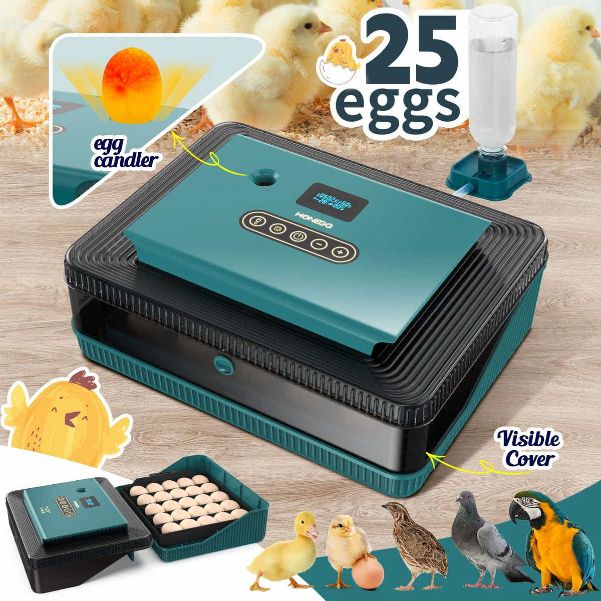 DS BD 25 Eggs Incubator Chicken Hatcher Turning Quail Duck Poultry Bird Hatching