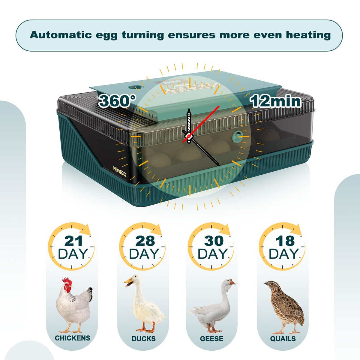 DS BD 25 Eggs Incubator Chicken Hatcher Turning Quail Duck Poultry Bird Hatching