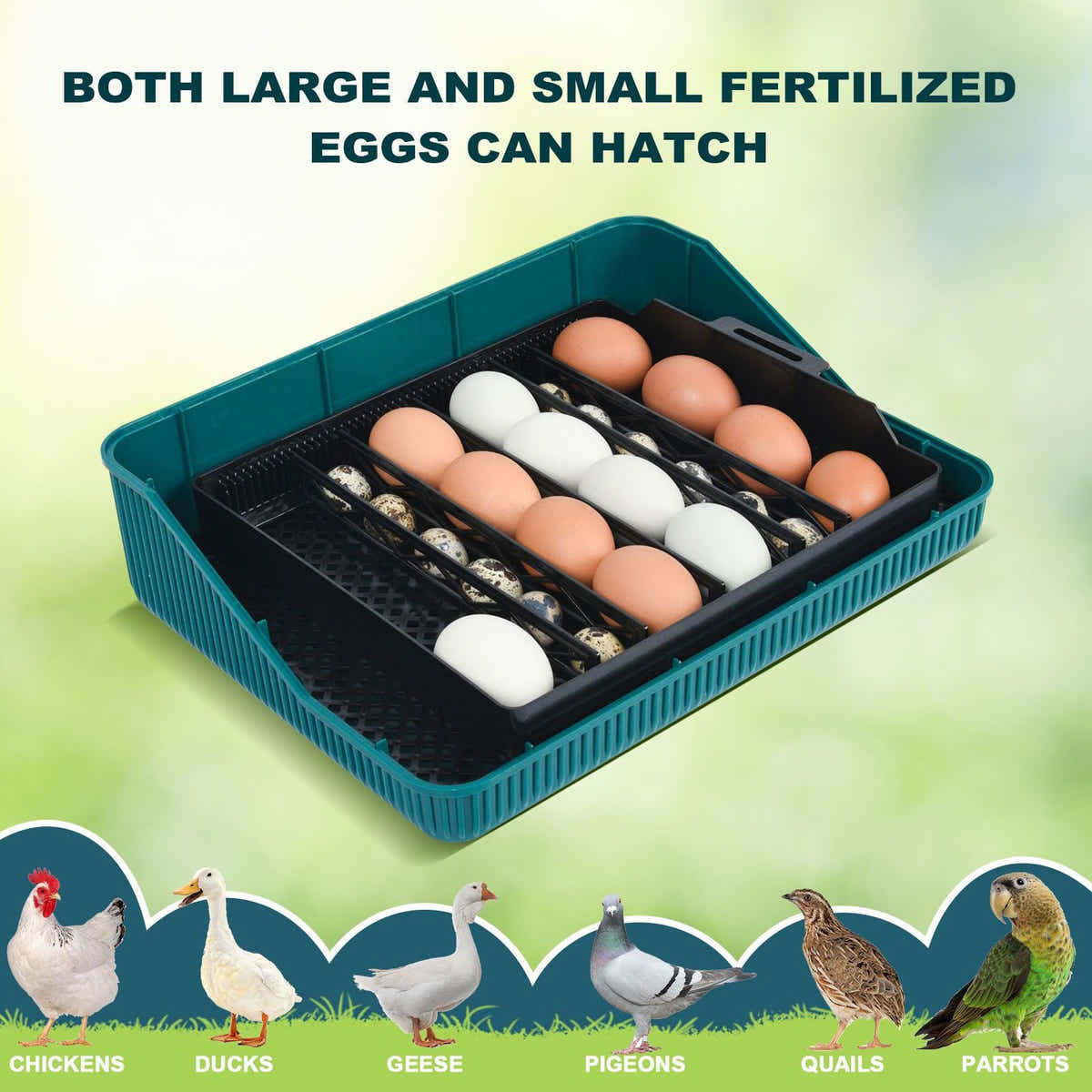 DS BD 25 Eggs Incubator Chicken Hatcher Turning Quail Duck Poultry Bird Hatching