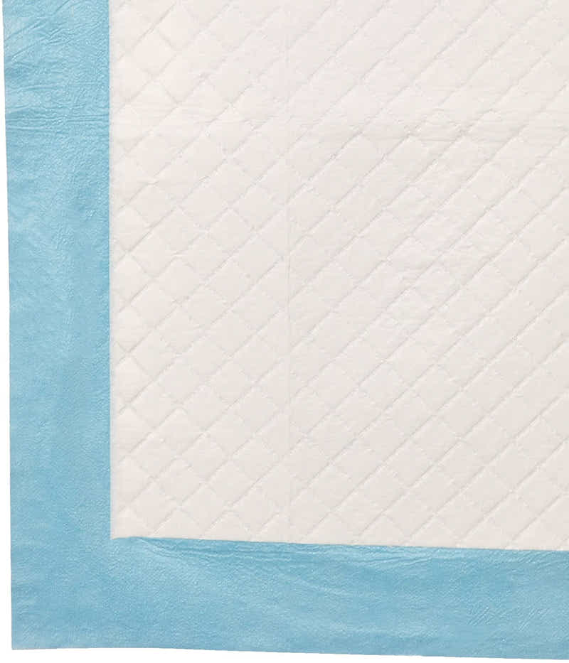 DS BS Dog and Puppy Potty Training Pads 60 x 60cm 40pc