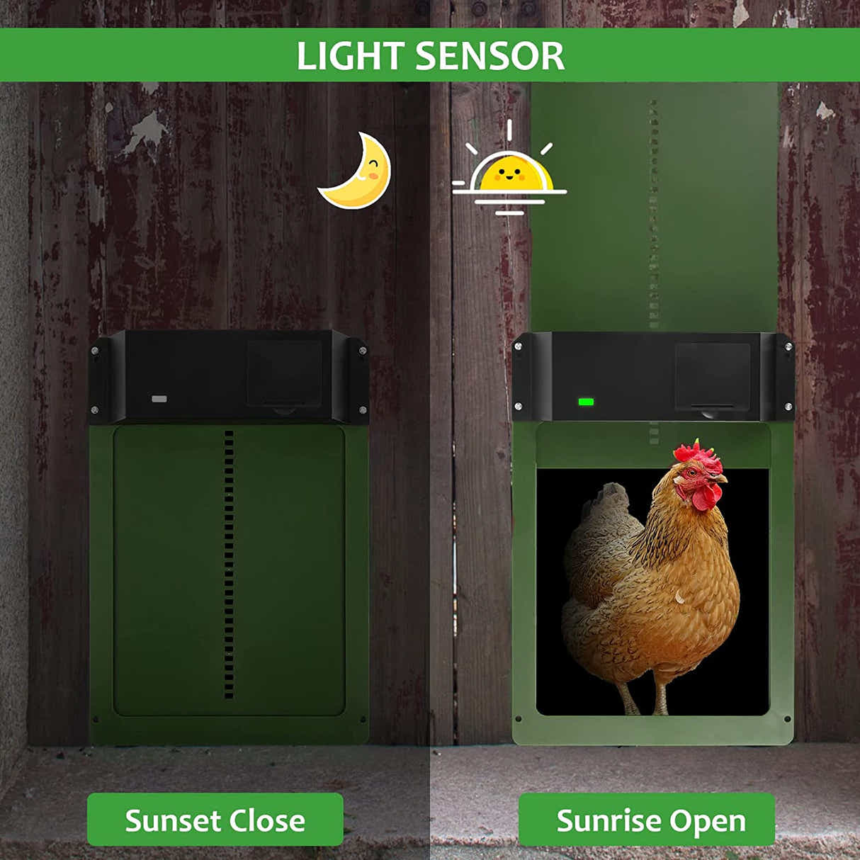 DS BS Automatic Chicken Coop Door Chicken Door Opener