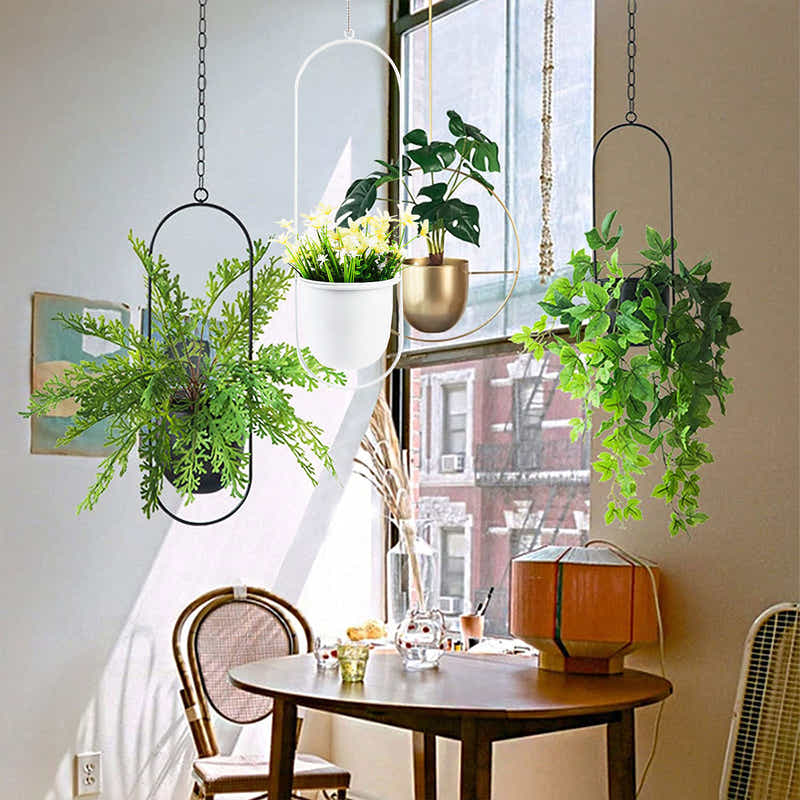 DS BS Minimalist Metal Plant Hanger Oval Shape-White