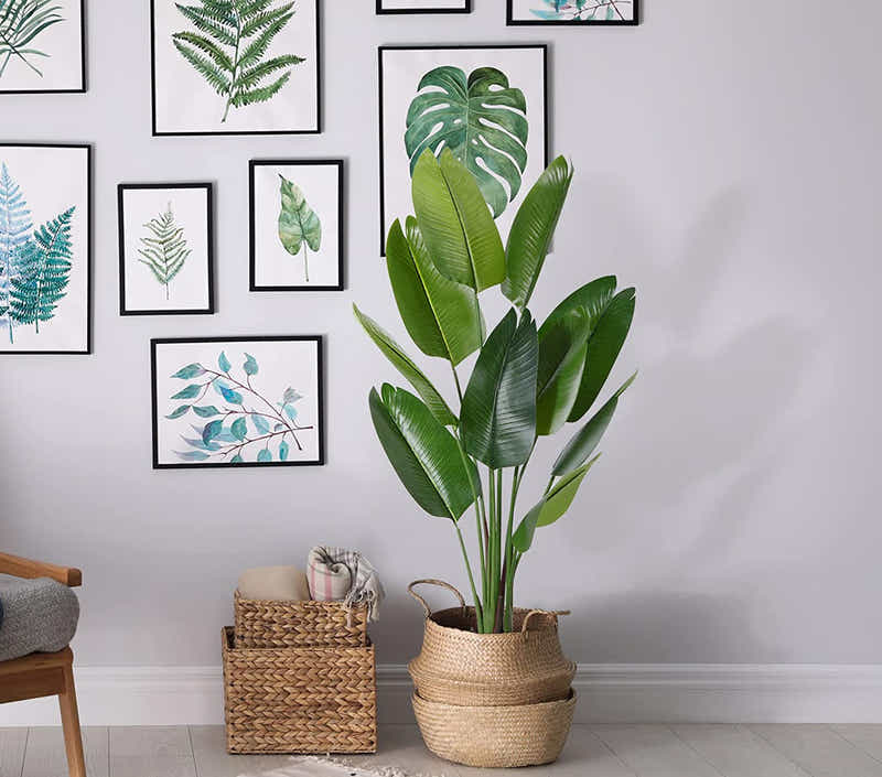 DS BS Artificial Plastic Tropical Palm Tree Ravenala-160CM