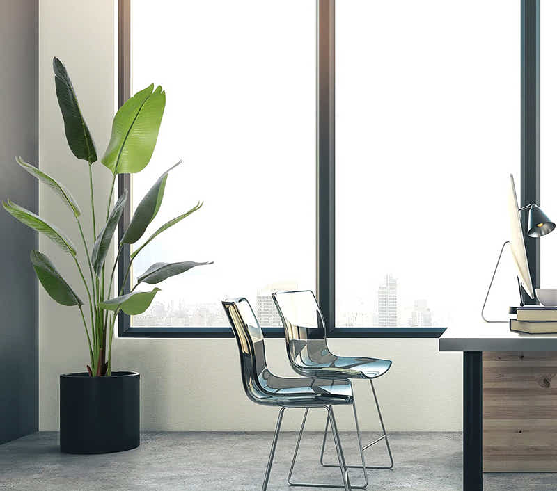 DS BS Artificial Plastic Tropical Palm Tree Ravenala-160CM