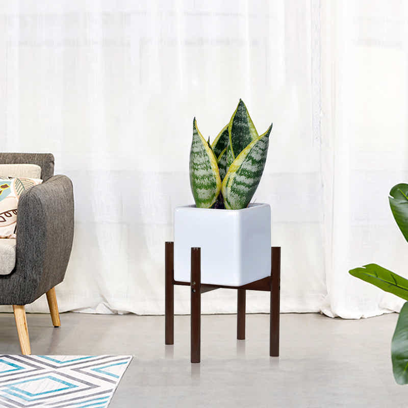 DS BS Mid Century Bamboo Indoor Plant Stand-50cm