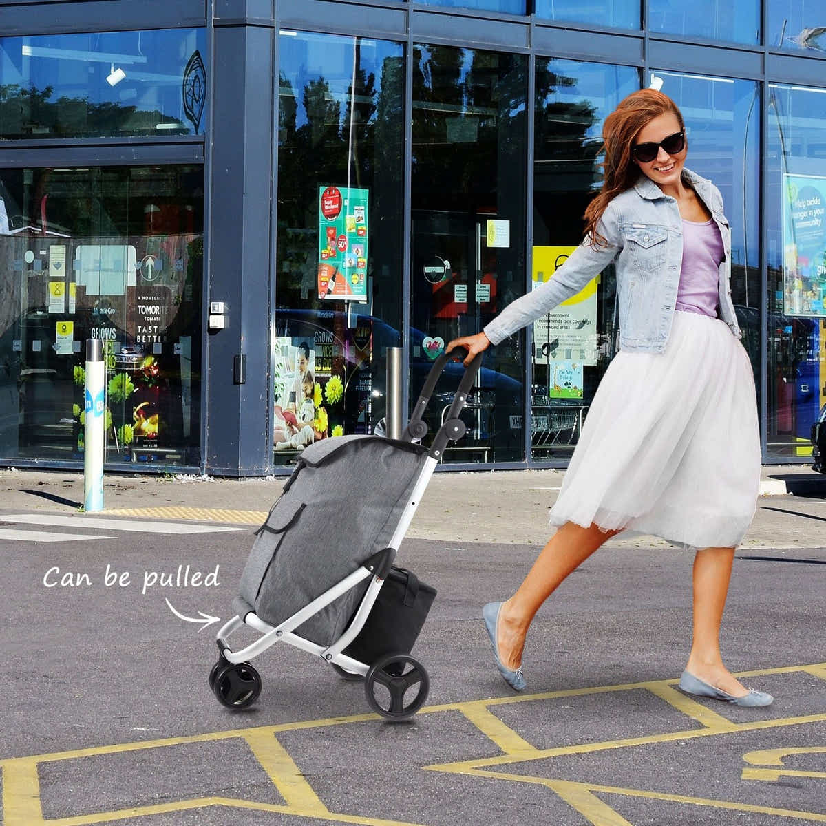DS BD Shopping Cart Trolley Dolly Insulation Bag Aluminium Waterproof Wheeled