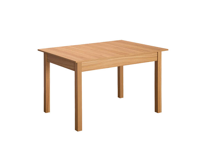 Enkel Extension Table 160