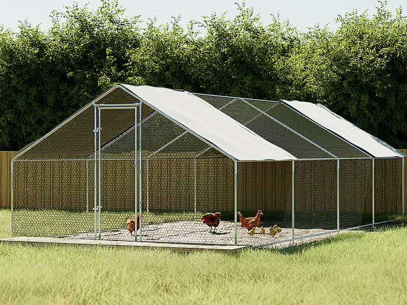 DS 25mm Steel Chicken Coop - 3m x 8m x 2m