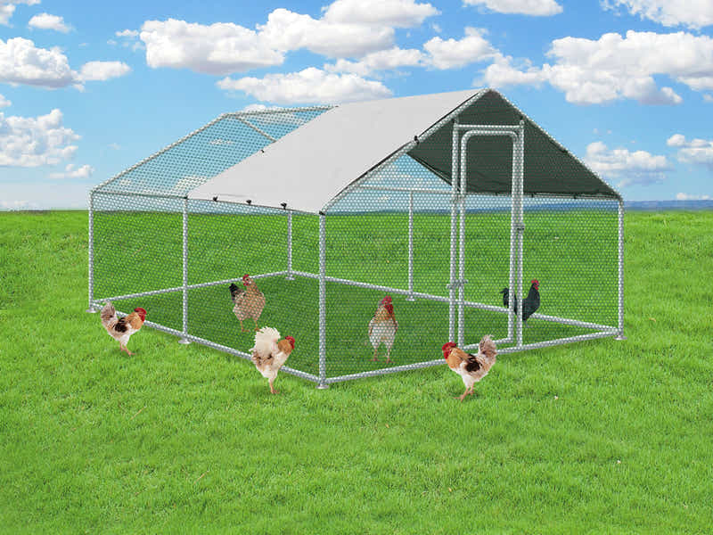 Steel Chicken Coop - 3m x 4m x 2m