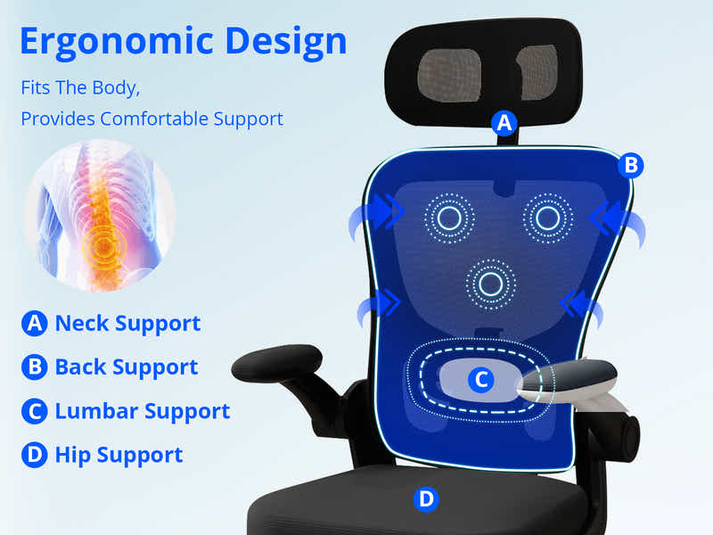 Etan Computer Desk 160 & Molina Mesh Task Chair Black+Black (Combo)