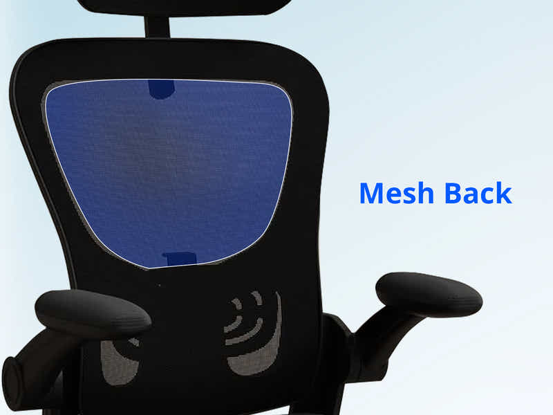 Molina Mesh Task Chair - Black + Black