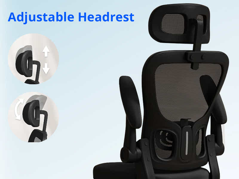 Molina Mesh Task Chair - Black + Black