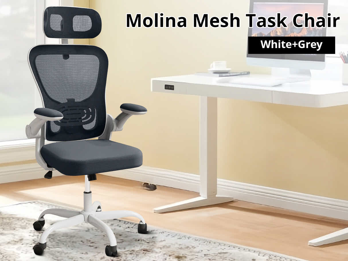 Molina Mesh Task Chair - White + Grey
