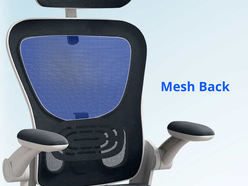 Molina Mesh Task Chair White+Grey