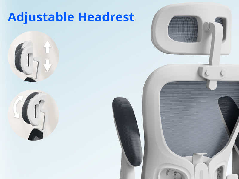 Executive Desk Dark Walnut & Molina Mesh Task Chair White+Grey (Combo)