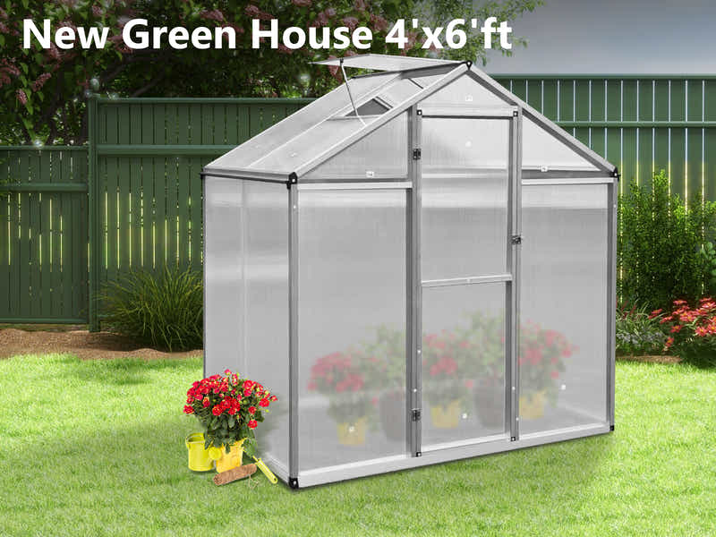 New Green House 4'x6'ft