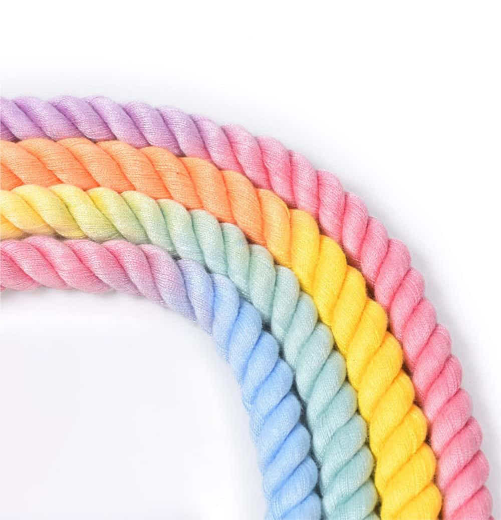 DS BS 150CM Soft Braided Colourful Dog Leash-Macaron