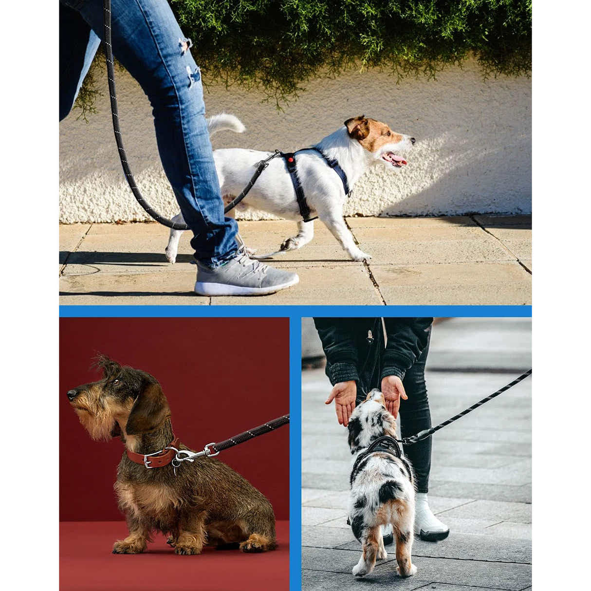 DS BS Reflective Rope Dog Leash 150cm-Gray