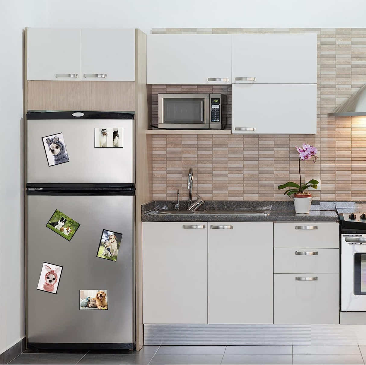 DS BS 12 Pack Magnetic Photo Frame 4X6 Inches for Refrigerator