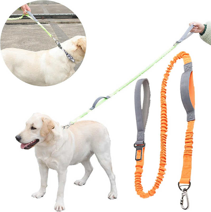 DS BS 2 in 1 Dog Bungee Leash & Car Seatbelt-Orange