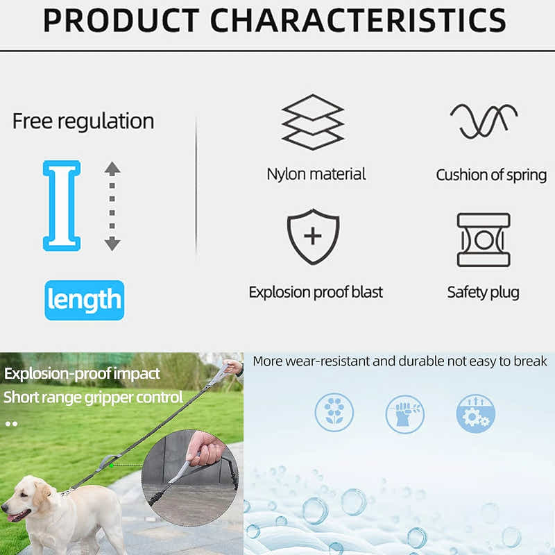 DS BS 2 in 1 Dog Bungee Leash & Car Seatbelt-Orange