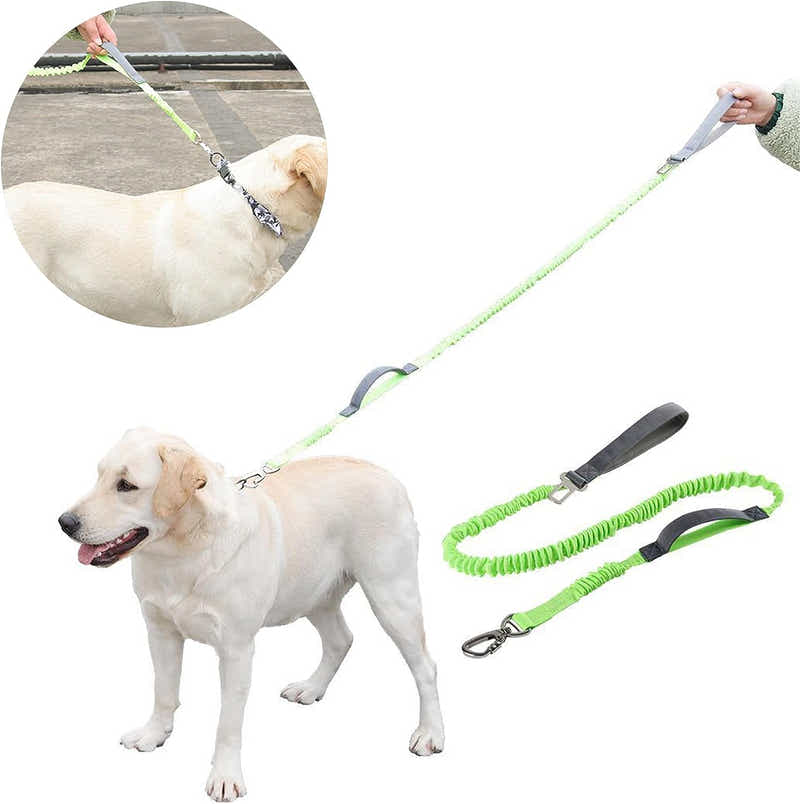 DS BS 2 in 1 Dog Bungee Leash & Car Seatbelt-Green